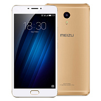 Золотистый (нет в наличии)