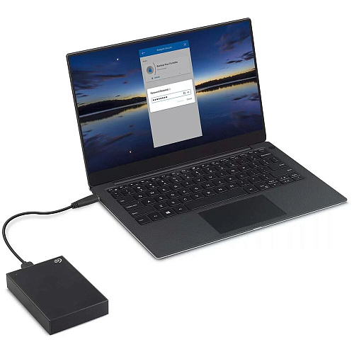 Внешний жесткий диск 2.5\" 4Tb Seagate (STKC4000400) USB3.0 One Touch Черный
