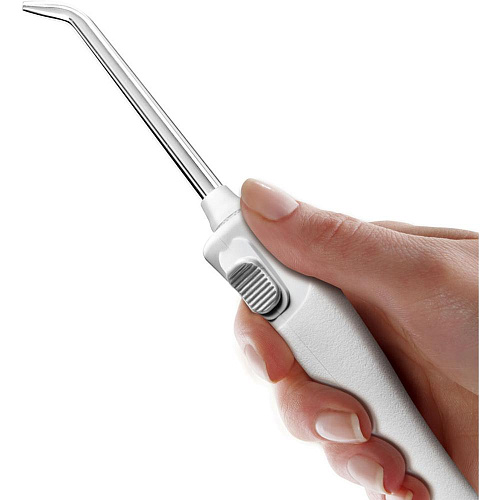 Waterpik WP-300