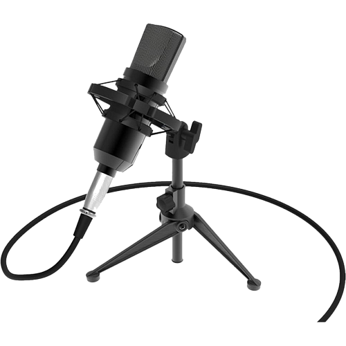 Микрофон  Ritmix RDM-160 Black