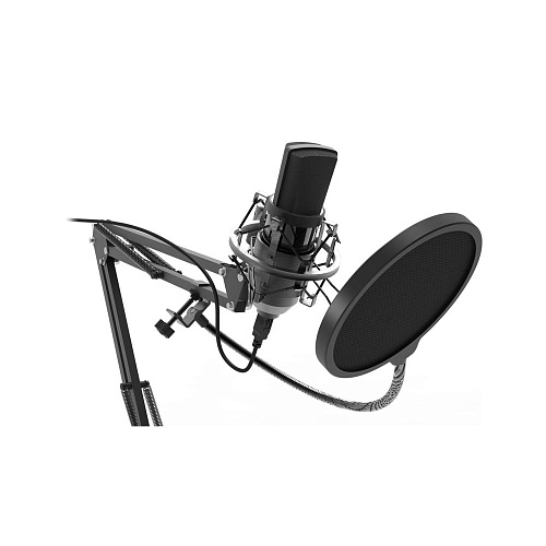 Микрофон  Ritmix RDM-169 USB Black