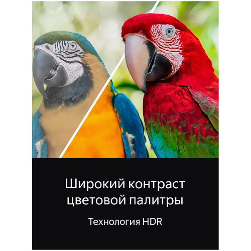 Телевизор 50" Topdevice TDTV50DQ08U_BK (4K 3840x2160, SmartTV) черный