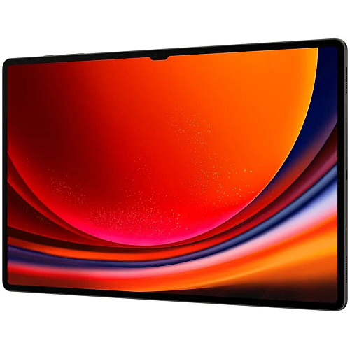 Планшет Samsung Galaxy Tab S9 Ultra SM-X916B 12/256GB Graphite (EAC)