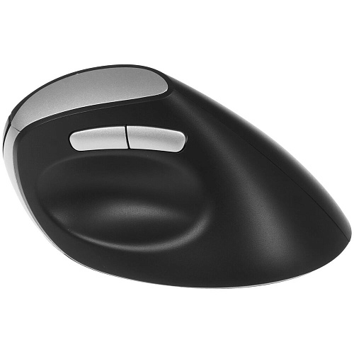 Мышь беспроводная Rapoo EV250 Wireless Black