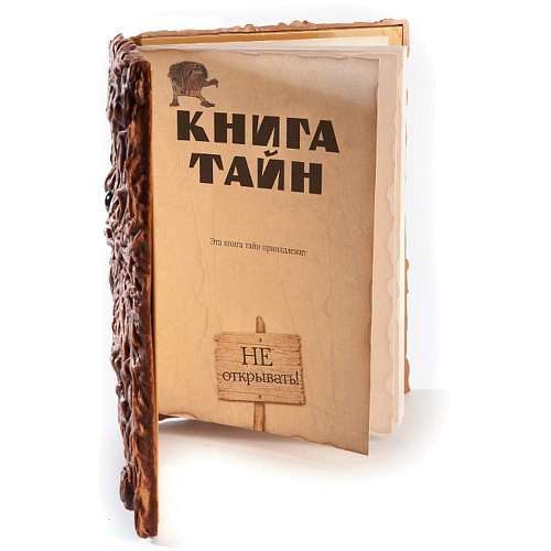 Научно-познавательный набор "Маэстро Браво" Книга тайн 