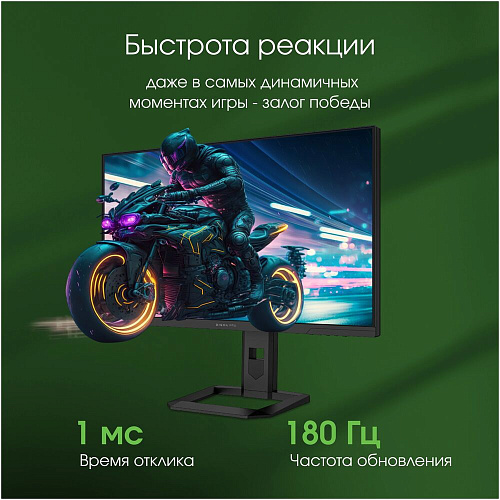 Монитор 27" Digma Pro Action S DM27SP06 IPS 2560x1440 1ms HDMI, DisplayPort Black