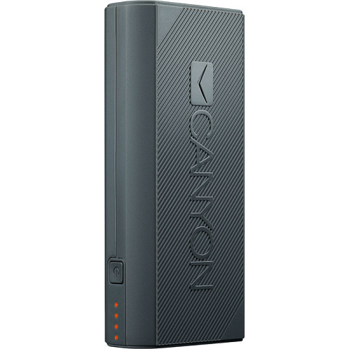 Внешний аккумулятор Canyon CNE-CPBF44DG 4400 мАч 1xMicroUSB, 1xUSB серый