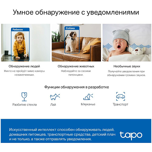 IP-камера Беспроводная IP камера TP-LINK TAPO C220