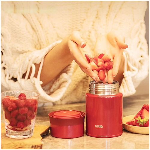 THERMOS Термос для еды TCLD-520 S, бордо, 0,52 л.
