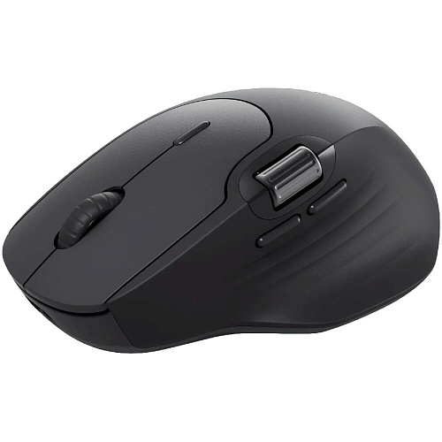 Мышь беспроводная Rapoo MT560 Wireless Black