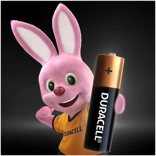 Батарейки Duracell LR6-8BL Basic AA 8шт