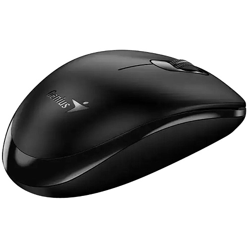 Мышь беспроводная Geinus NX-7000XE Wireless Black