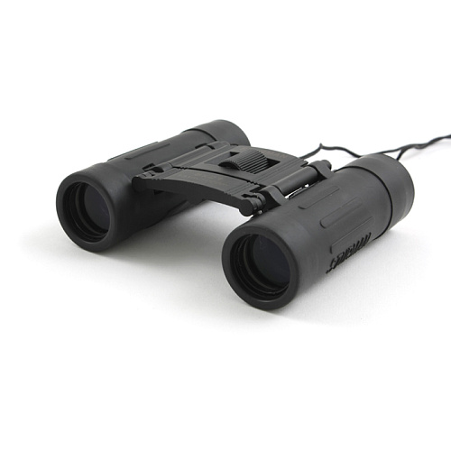 Бинокль Sturman 8x21 black