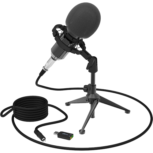 Микрофон  Ritmix RDM-160 Black