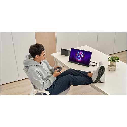 Монитор 17,3" ASUS ZenScreen MB17AHG IPS 1920x1080 5ms HDMI, USB Type-C