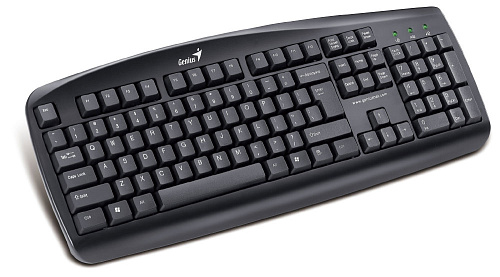 Клавиатура Genius KB-110 USB black