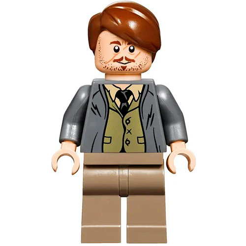 LEGO Harry Potter Хогвартс-экспресс 75955