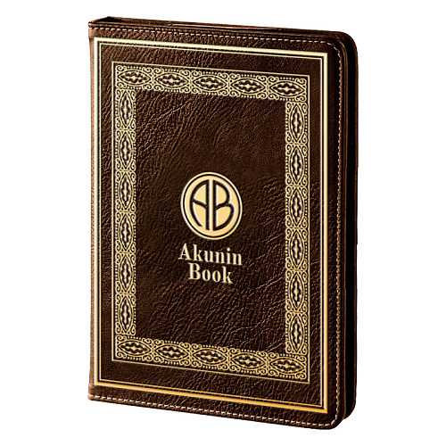Электронная книга Onyx Boox C63ML Akunin Book серая