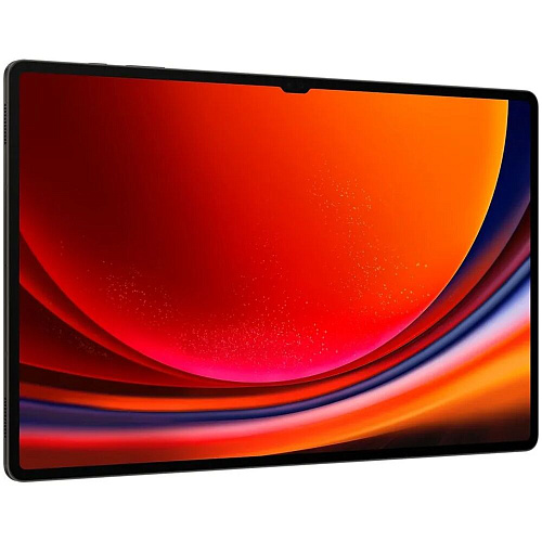 Планшет Samsung Galaxy Tab S9 Ultra SM-X916B 12/256GB Graphite (EAC)