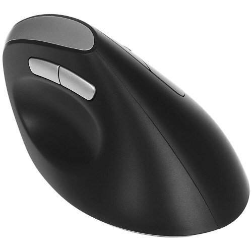 Мышь беспроводная Rapoo EV250 Wireless Black
