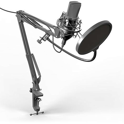 Микрофон  Ritmix RDM-169 USB Black