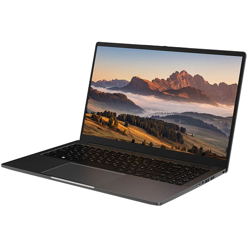 Ноутбук Rikor NEURO 1 Celeron N5100/8Gb/256Gb SSD/15.6" FullHD/Win11 Black