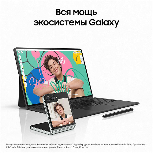 Планшет Samsung Galaxy Tab S9+ SM-X810 12/256GB Gray (EAC)