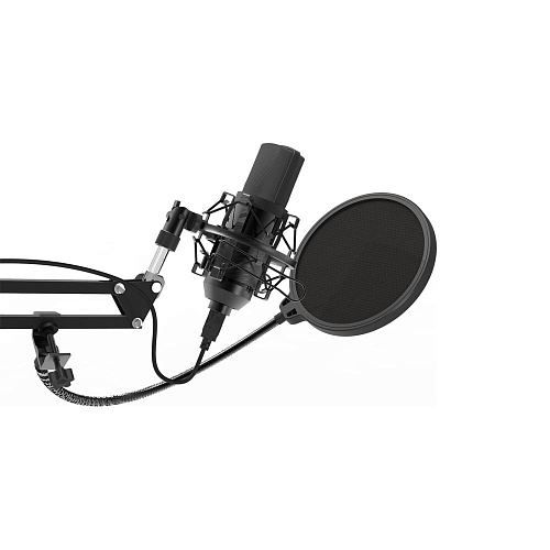Микрофон  Ritmix RDM-169 USB Black УЦЕНКА