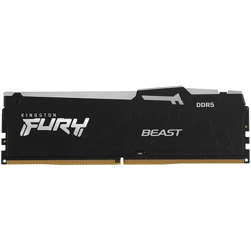 Модуль памяти DIMM 16Gb DDR5 PC48000 6000MHz Kingston Fury Beast RGB Black EXPO (KF560C30BBEA-16)