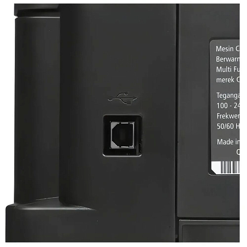 МФУ Canon Pixma G2010 цветное А4