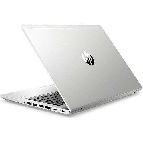 Ноутбук HP ProBook 450 G7 Core i5 10210U/8Gb/256Gb SSD/15.6" FullHD/DOS Silver