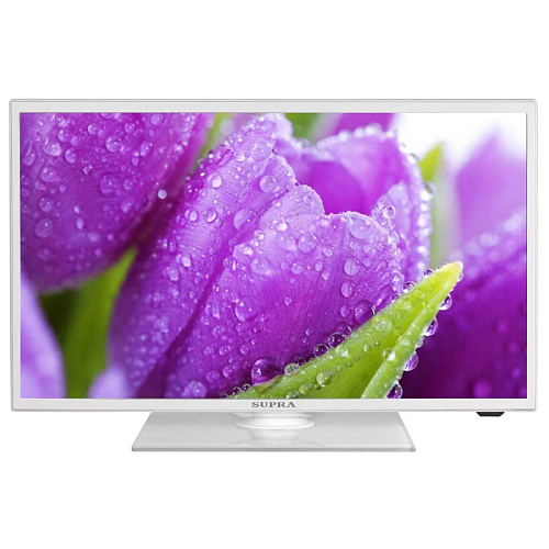 Телевизор 19" Supra STV-LC19T551WL (HD 1366x768, USB, HDMI) белый