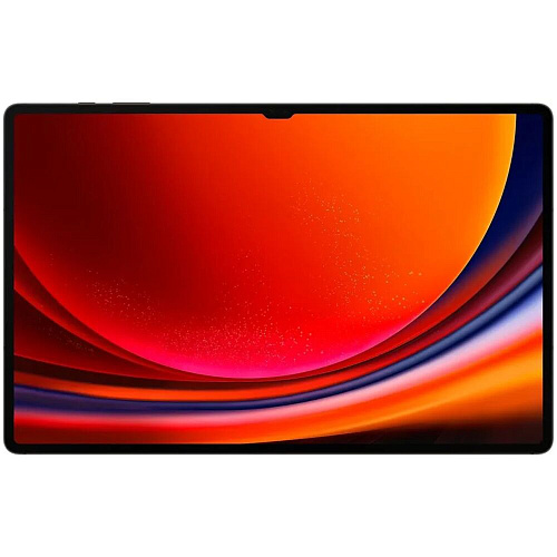 Планшет Samsung Galaxy Tab S9 Ultra SM-X910 12/256GB Graphite (EAC)