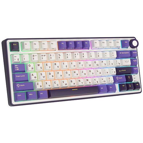Клавиатура Royal Kludge R75 (RK Silver Switch) RGB (русская раскладка) Blackberry