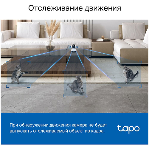 IP-камера Беспроводная IP камера TP-LINK TAPO C220