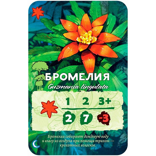 Настольная игра Hobby World Амазония 915464