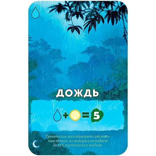 Настольная игра Hobby World Амазония 915464