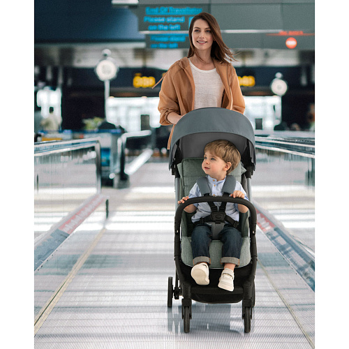 Прогулочная коляска Inglesina Quid 2 Puma Black 2022 (с накидкой на ноги)